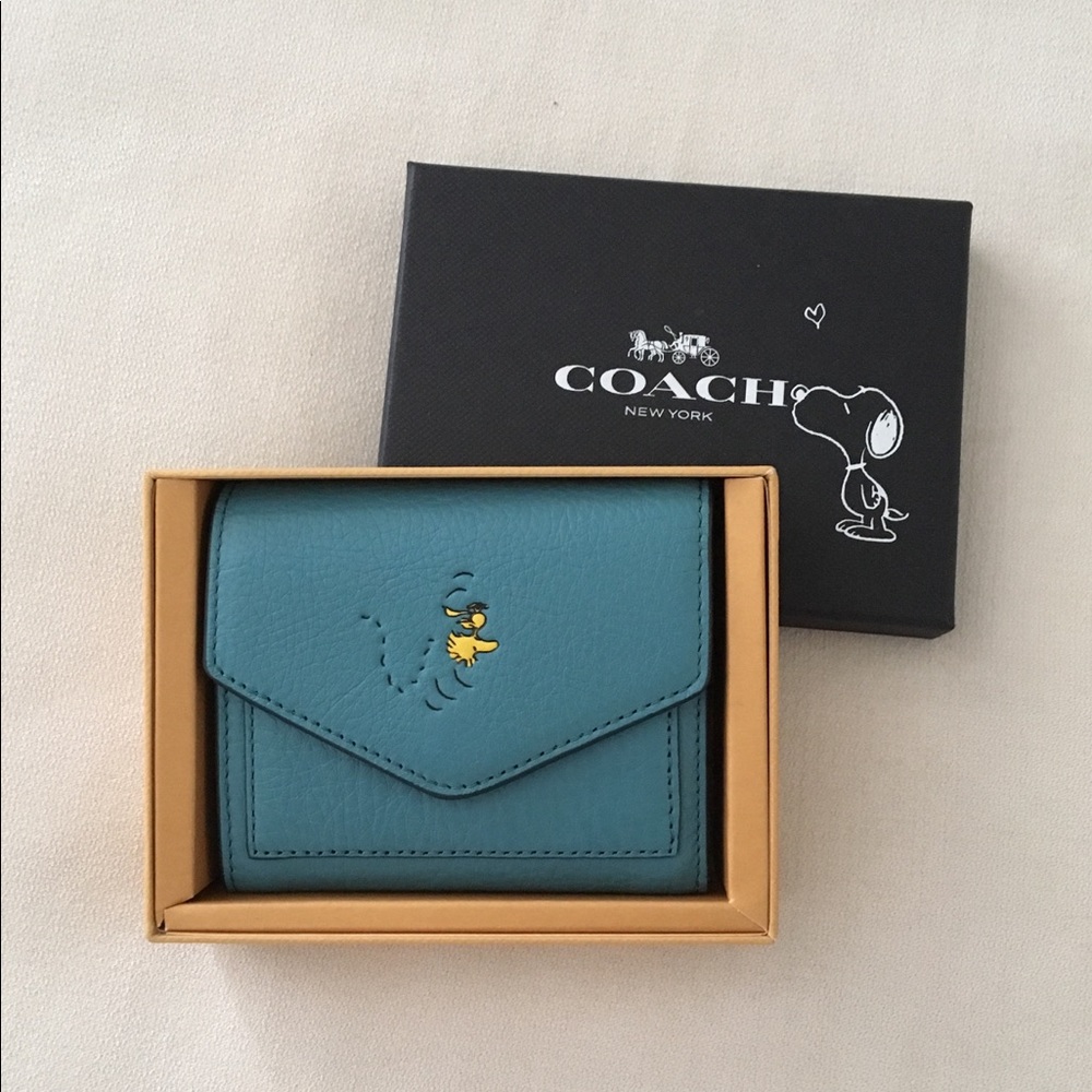 Coach x Peanuts Woodstock